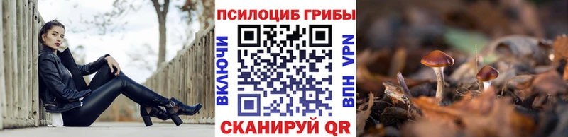 Галлюциногенные грибы ЛСД  kraken зеркало  Дегтярск 