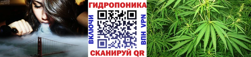 Бошки марихуана MAZAR  Дегтярск 
